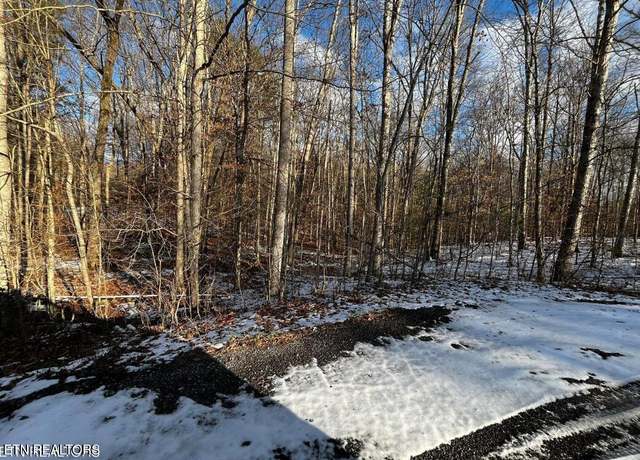 Property at Lot 4 Evergreen Dr, Oneida, TN 37841