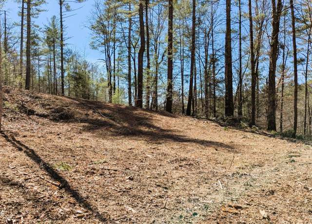 Property at Carrs Creek Rd, Townsend, TN 37882