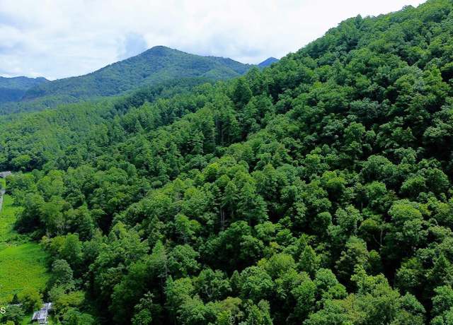 Property at Carrs Creek 14 Acres Rd, Townsend, TN 37882