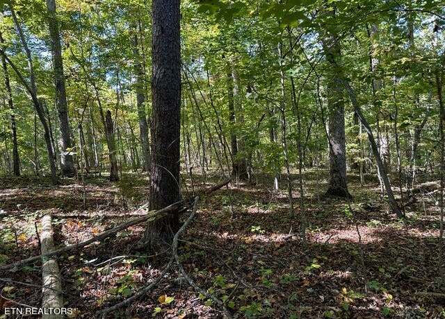 Property at Lot351-354 Diana Dr, Spring City, TN 37381