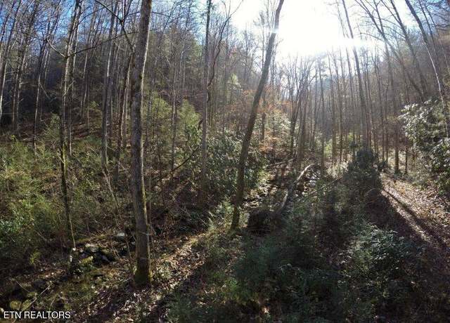 Property at 303 Chestnut Valley Ln, Vonore, TN 37885