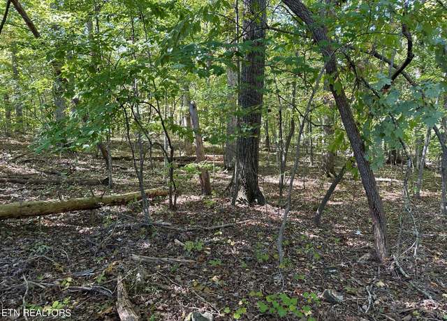 Property at Lot 411 Smith Rd, Spring City, TN 37381