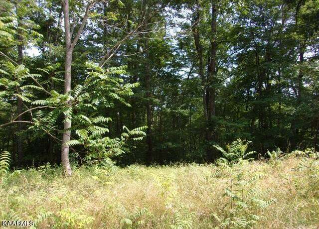 Property at Lot 254 Marble Point Way, New Tazewell, TN 37825