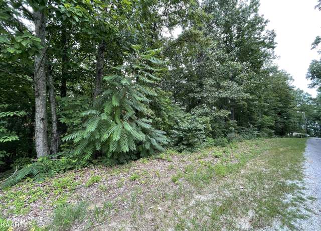 Property at Lot 37 Pecan Tree Ln, Newport, TN 37821