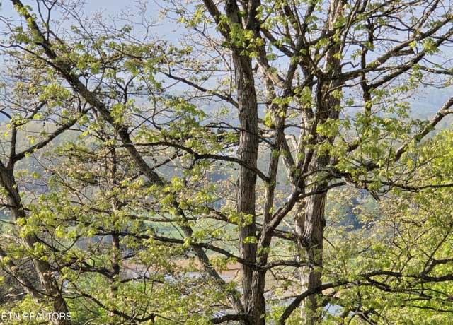 Property at 29+ACRES Boatmans Mtn, Morristown, TN 37814