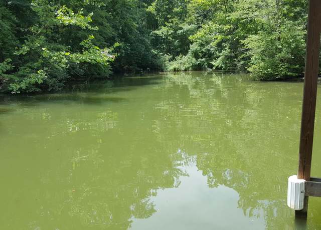 Property at Lot 108 Treasure Tree Rd, Ten Mile, TN 37880