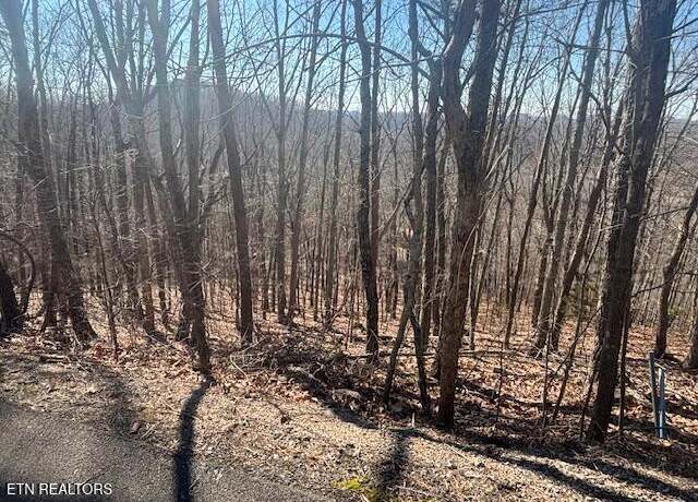 Property at Laurel Mtn Road Rd, Madisonville, TN 37354