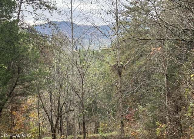 Property at Sugar Loaf -13.5 Acres Rd, Sevierville, TN 37876