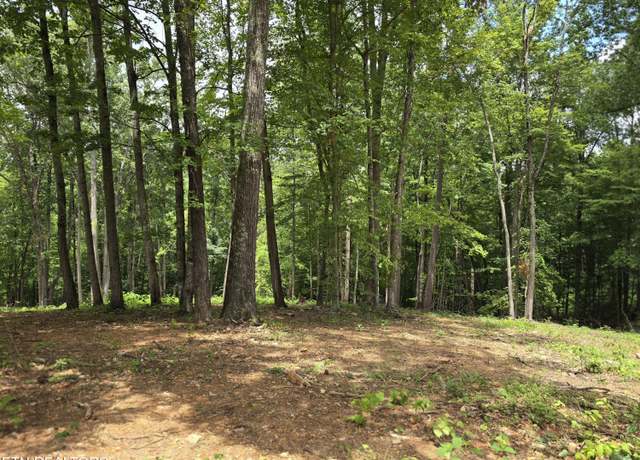 Property at 248 Norman Rd, Powell, TN 37849