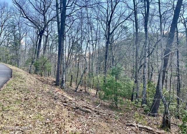 Property at 4010 Fox Hunters Ln, Sevierville, TN 37876