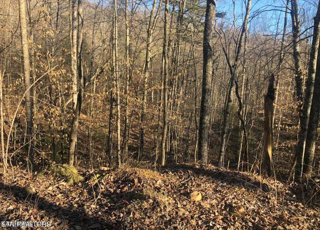 Property at Lot 68 Yellowwood Dr, Sevierville, TN 37876