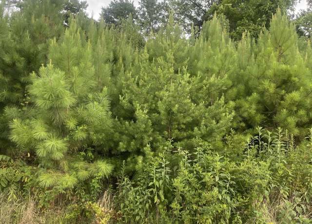 Property at Lot 22 Jessica Ln, Clinton, TN 37716