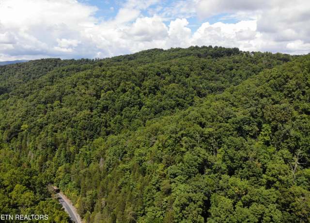 Property at 71.40 AC. Bunch Hollow Rd, New Tazewell, TN 37825