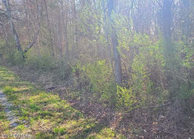 Property at Lot 2 Highway 304, Decatur, TN 37322