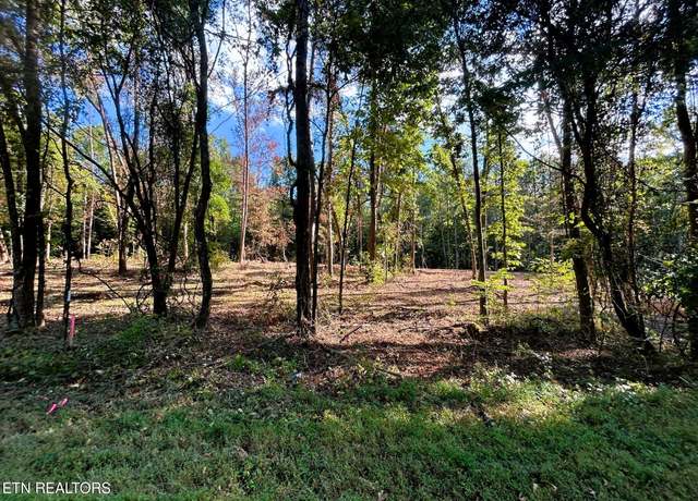 Property at Tract 1 Pleasant Hill Rd, Ten Mile, TN 37880