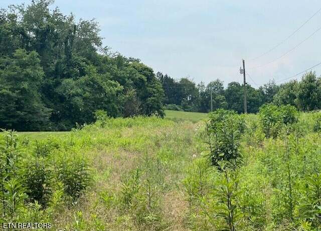 Property at Lot 14R1 Pleasant View Cemetery Rd, New Market, TN 37820
