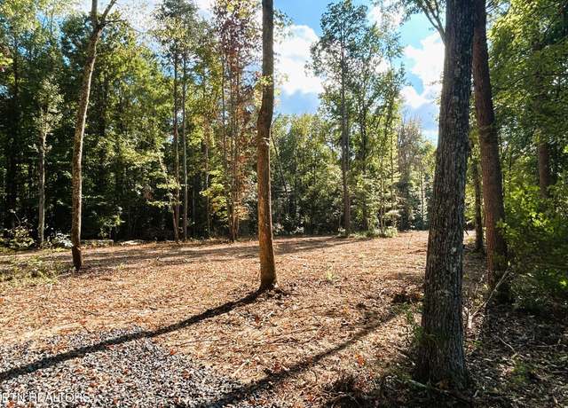 Property at Tract 3 Pleasant Hill Rd, Ten Mile, TN 37880
