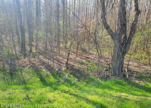 Property at Lot 3 Highway 304, Decatur, TN 37322