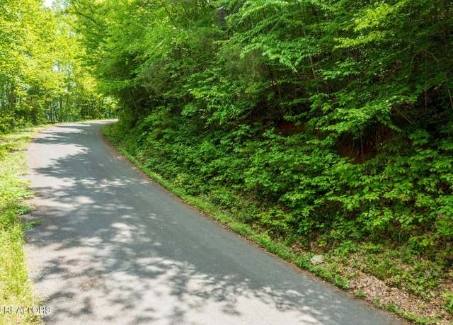 Property at Running Bear Rd, Cosby, TN 37722