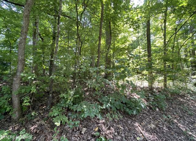Property at 3320 Gumstand Dr, Powell, TN 37849