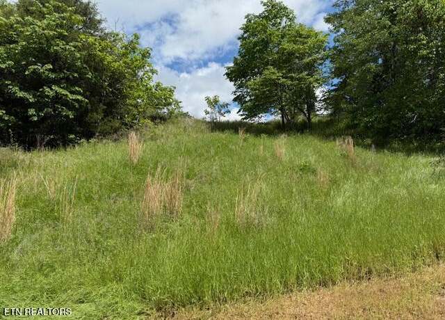 Property at Putters Peak, Tazewell, TN 37879