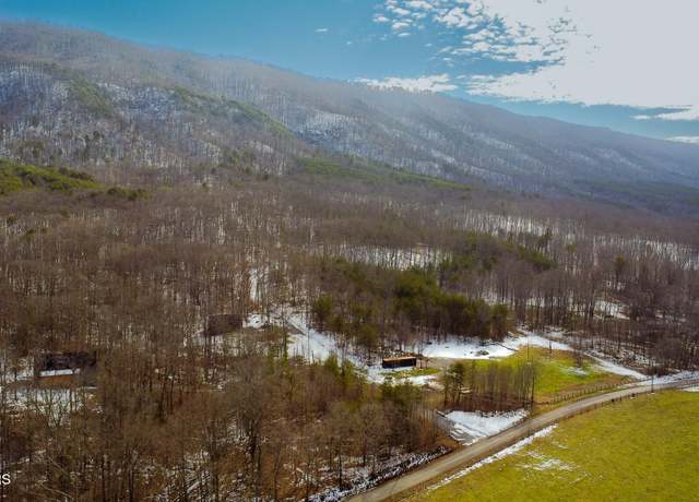Property at 54 acres County Road 875, Etowah, TN 37331