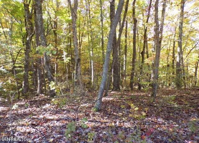 Property at 163 Manchester Rd, Crossville, TN 38558