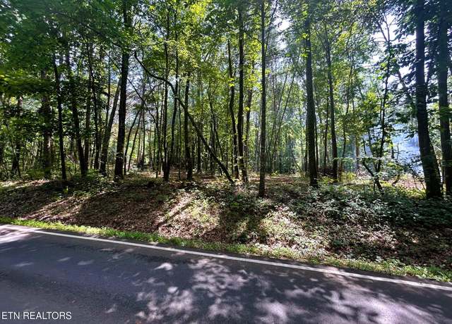 Property at Tract 6 Pleasant Hill Rd, Ten Mile, TN 37880