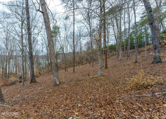 Property at Islandview Cir, Sharps Chapel, TN 37866