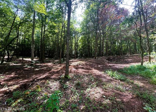 Property at Tract 8 Pleasant Hill Rd, Ten Mile, TN 37880