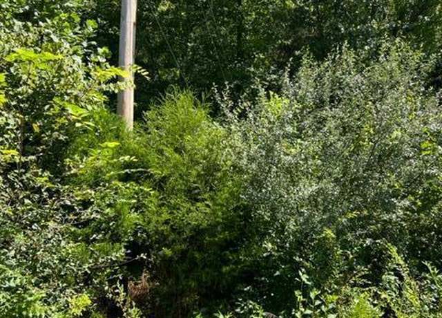 Property at Saddleridge Dr, Speedwell, TN 37870
