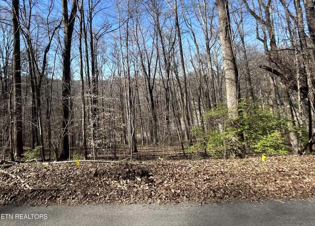 Property at 206 Cumberland View Ests, Rocky Top, TN 37769