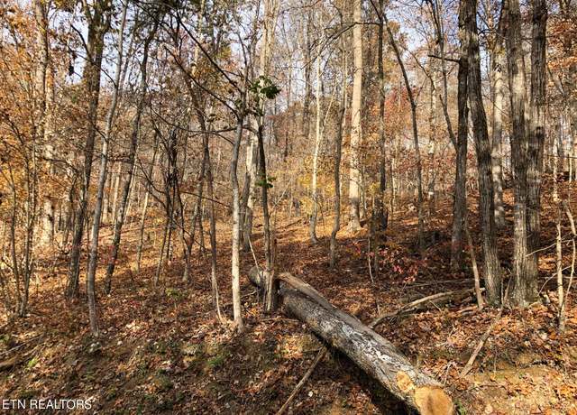 Property at Lot 51 Harbor Ln, Lafollette, TN 37766