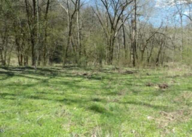 Property at Lot 1 Baugh Hollow Rd, Gainesboro, TN 38562