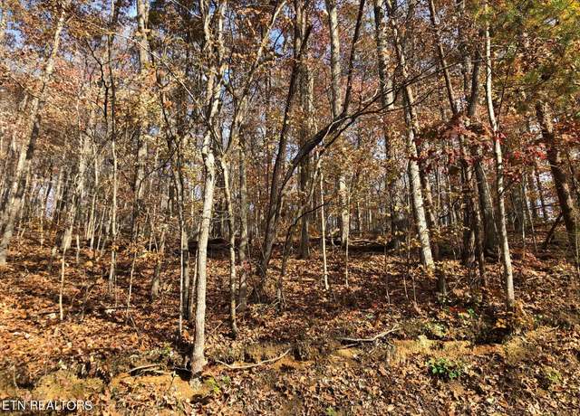 Property at Lot 52 Harbor Ln, Lafollette, TN 37766