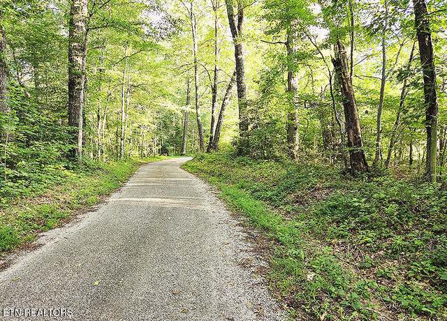 Property at 0 Laurel Dale Cemetary Rd, Rugby, TN 37733