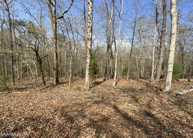 Property at Rendezvous Road Lot # 21, Rockwood, TN 37854
