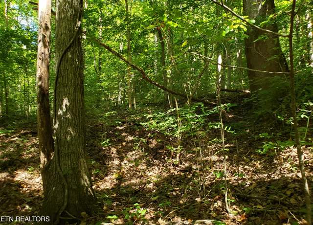 Property at 7.22ac Livingston Hwy, Celina, TN 38551