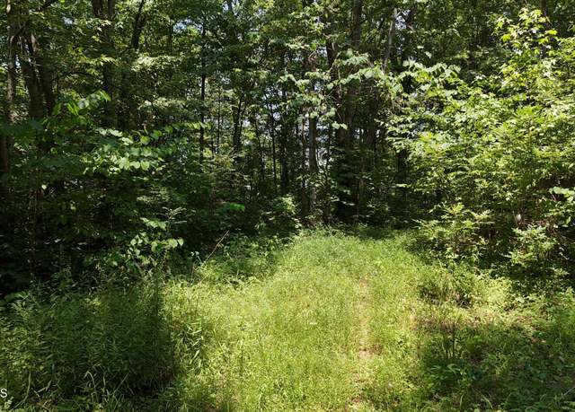 Property at 000 NE Chestuee Dr, Cleveland, TN 37323