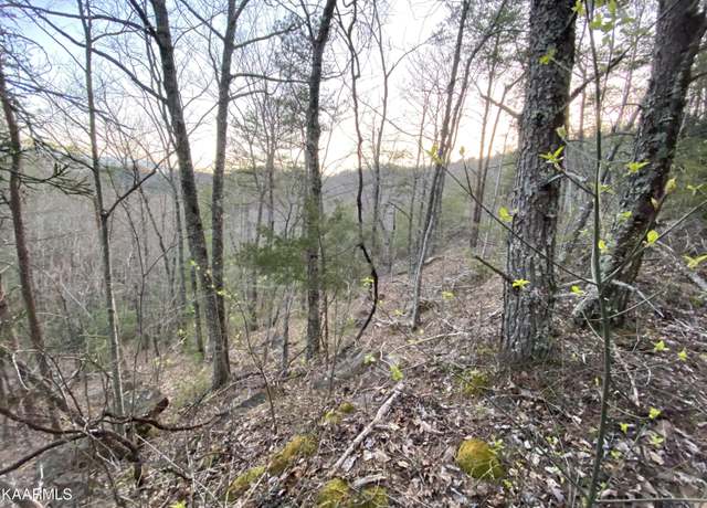 Property at Lot 46 Beechwood St, Sevierville, TN 37876