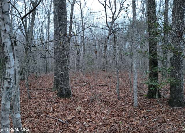 Property at 20 Cross Dr, Monterey, TN 38574