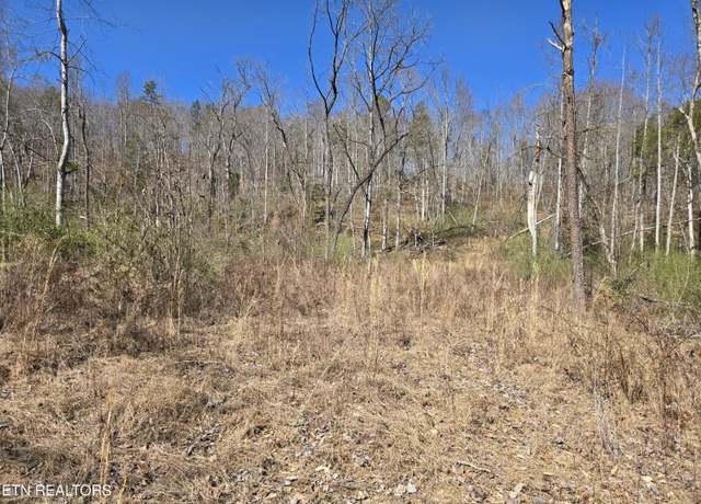 Property at 110 Braden Chapel Rd. Rd, Speedwell, TN 37870