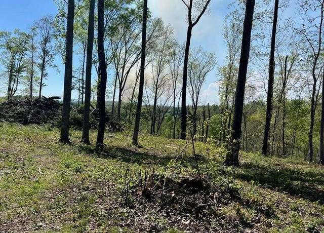 Property at Tract 1 Mill Creek Rd, Andersonville, TN 37705