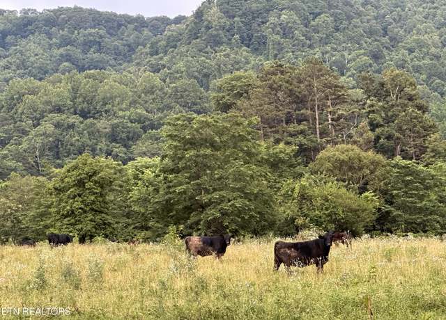 Property at Blair Rd, Dryden, VA 24243