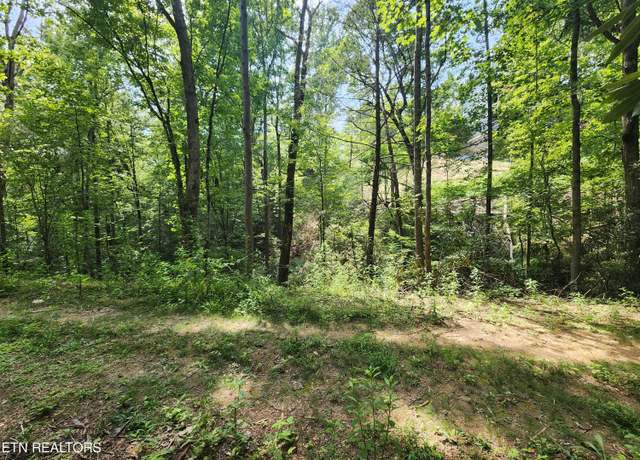 Property at Lot 30 Birch Dr, Sevierville, TN 37876