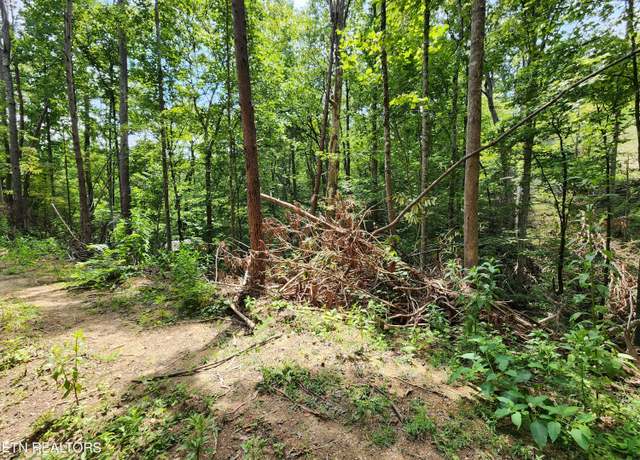 Property at Lot 31 Birch Dr, Sevierville, TN 37876