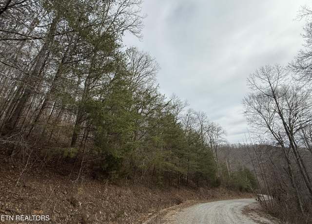 Property at Jones Ridge RD Rd, Speedwell, TN 37870