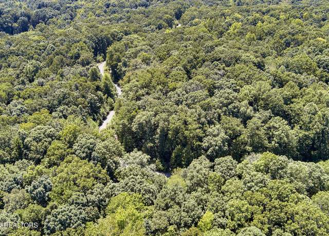 Property at Lot 165 County Road 316, Niota, TN 37826