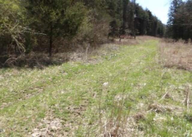 Property at Lot 6 Baugh Hollow Rd, Gainesboro, TN 38562