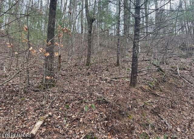 Property at 815 Tanasi Trl, Townsend, TN 37882